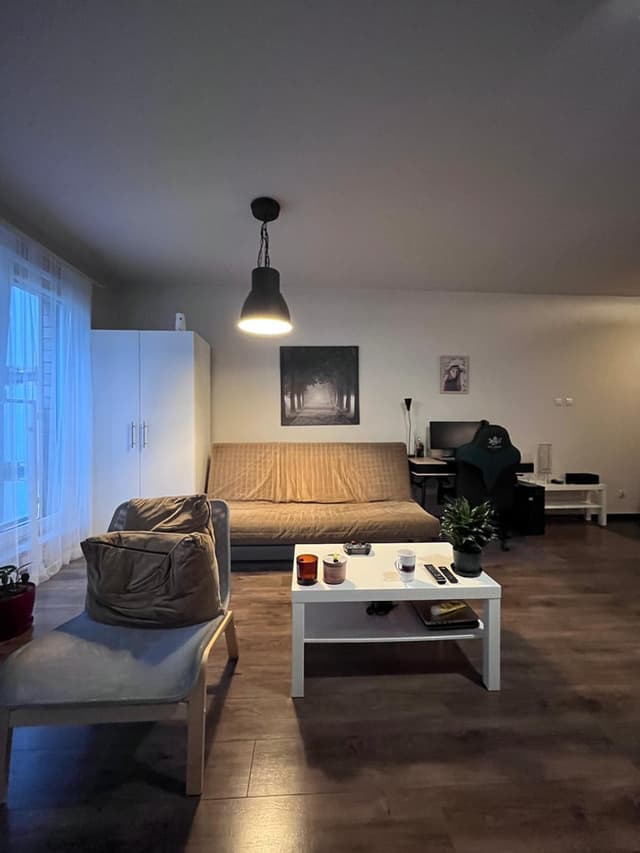 Dwupokojowe mieszkanie w centrum Poznania - gotowe - Zdjęcie 5/20