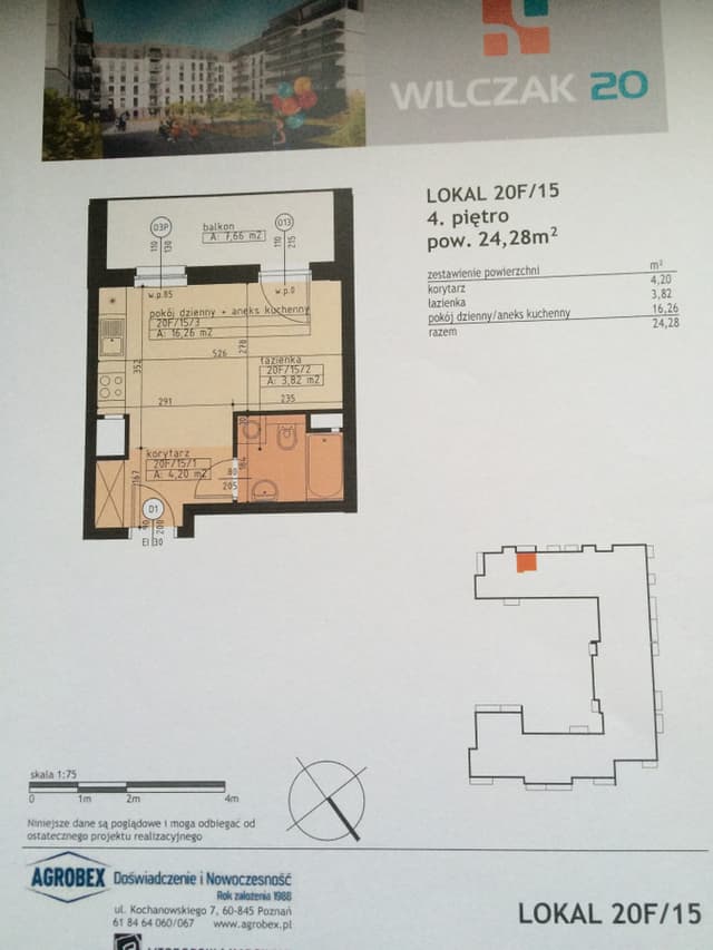 Przytulne mieszkanie jednopokojowe na Winogradach - Zdjęcie 3/11