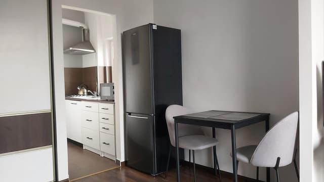 Funkcjonalne mieszkanie w centrum Łodzi - Śródmieście - Zdjęcie 3/8