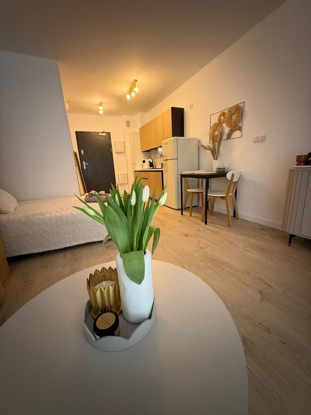 Komfortowe mieszkanie w rozwijającej się dzielnicy - Zdjęcie 3/14