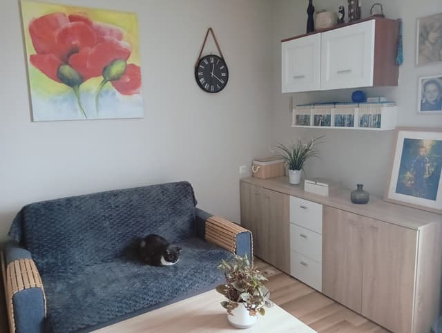 Mieszkanie dla singla lub pary w dzielnicy Polesie - Zdjęcie 3/11