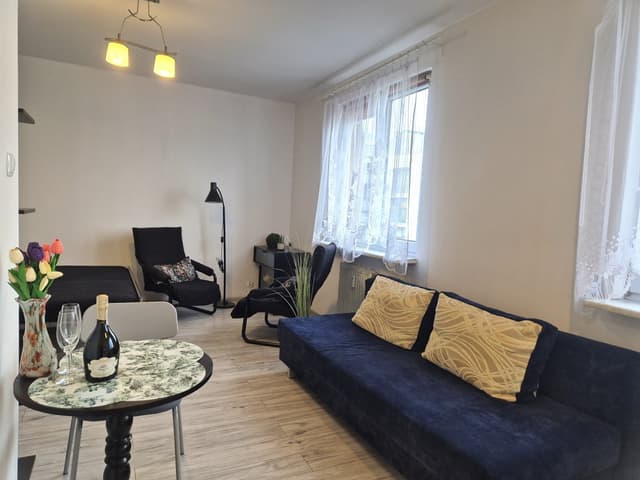 Komfortowy apartament na Wildzie - inwestycja z potencjałem - Zdjęcie 3/6