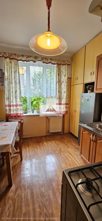 Ciche mieszkanie w centrum z ogródkiem i garażem - Zdjęcie 4/15