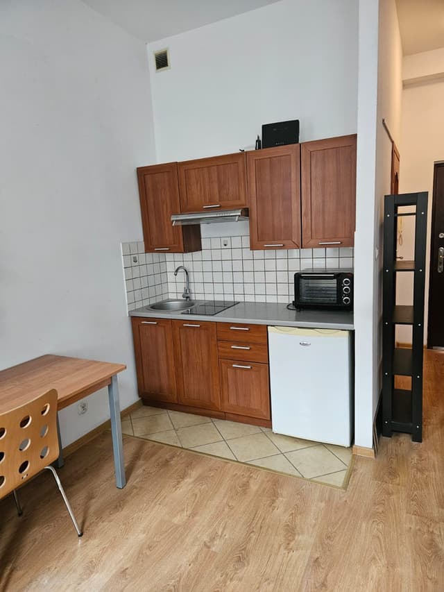 Przytulne studio 19m² w centrum Poznania, ul. Limanowskiego - Zdjęcie 3/11
