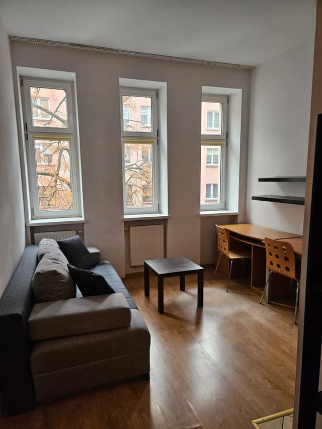 Przytulne studio 19m² w centrum Poznania, ul. Limanowskiego - Zdjęcie 2/11