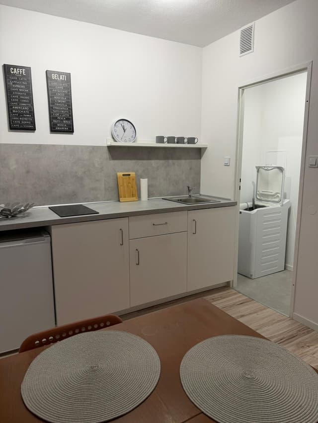 Przytulne mieszkanie 2-pokojowe z windą, Poznań - Zdjęcie 2/11