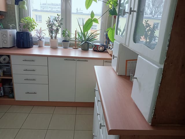 Mieszkanie dla singla lub pary w dzielnicy Polesie - Zdjęcie 4/11