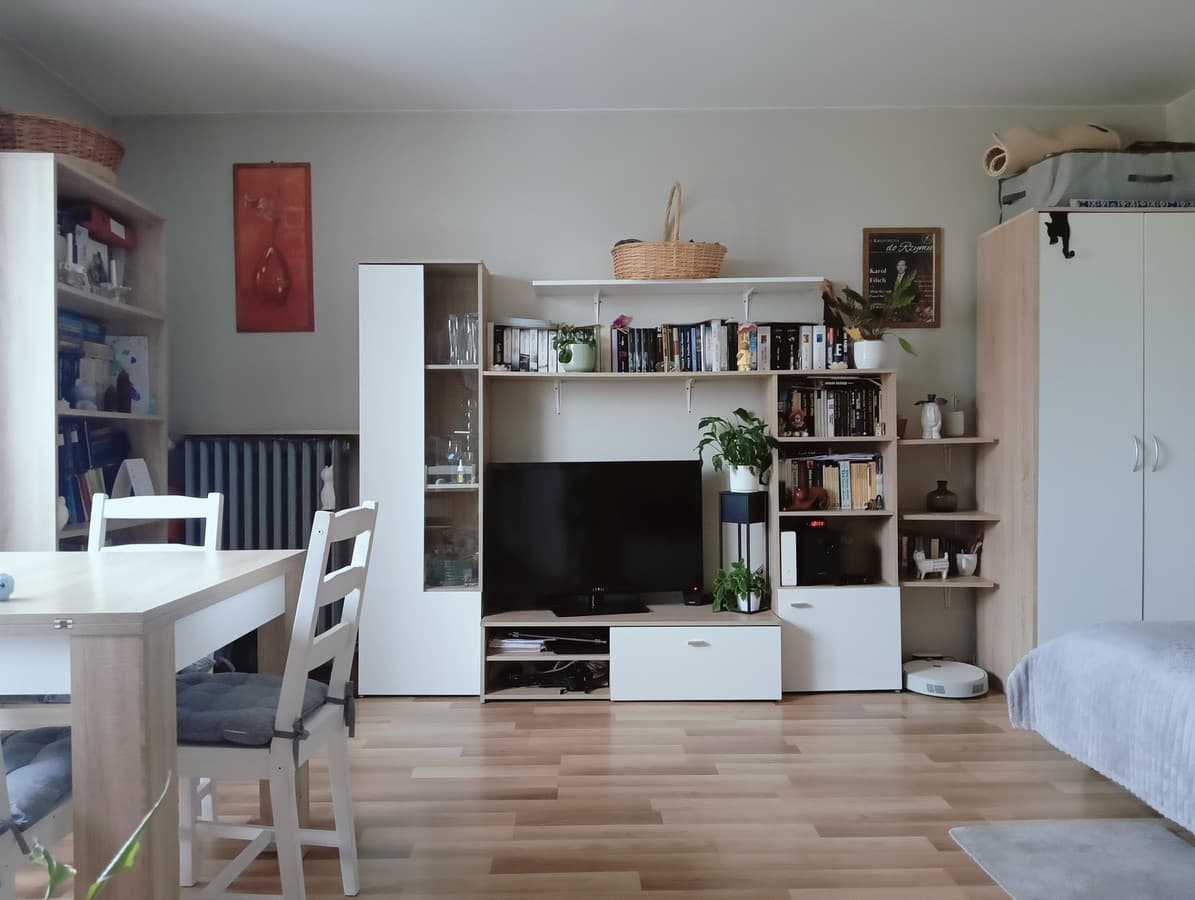 Mieszkanie dla singla lub pary w dzielnicy Polesie - Zdjęcie 1/11