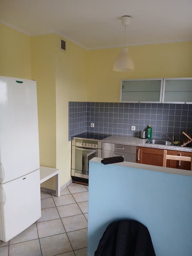 Komfortowe mieszkanie na Piątkowie - od zaraz - Zdjęcie 3/4