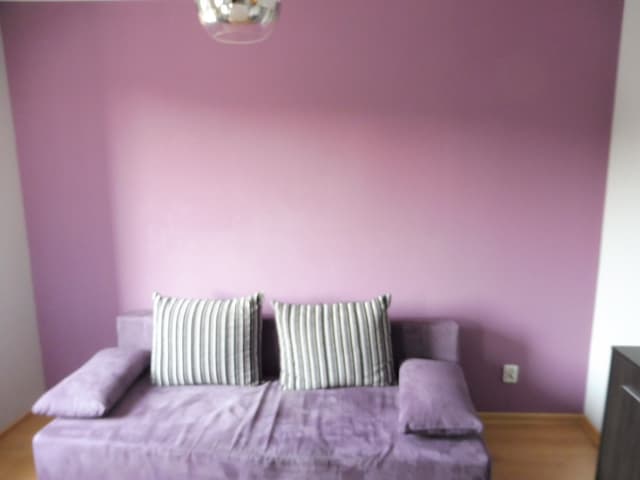 Dwupokojowe mieszkanie w Śródmieściu Wrocławia - Zdjęcie 2/10