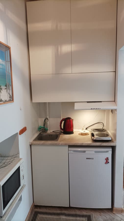 Przytulne studio w centrum Łodzi przy ul. Wierzbowej - Zdjęcie 3/5