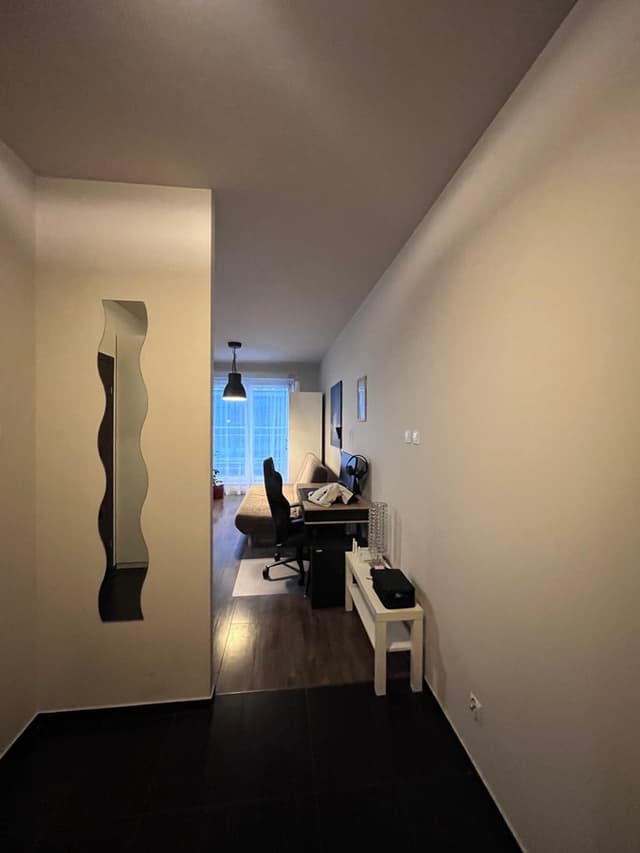 Dwupokojowe mieszkanie w centrum Poznania - gotowe - Zdjęcie 3/20