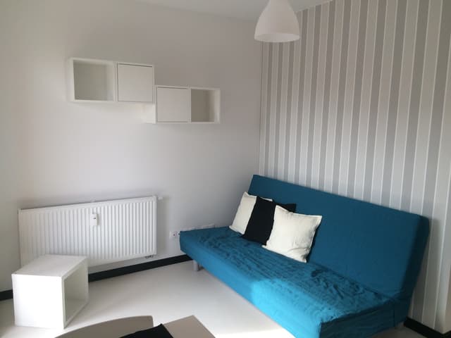 Przytulne mieszkanie jednopokojowe na Winogradach - Zdjęcie 5/11