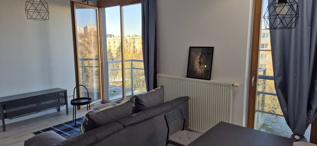 Funkcjonalne 2-pokojowe mieszkanie na Winogradach - Zdjęcie 3/7