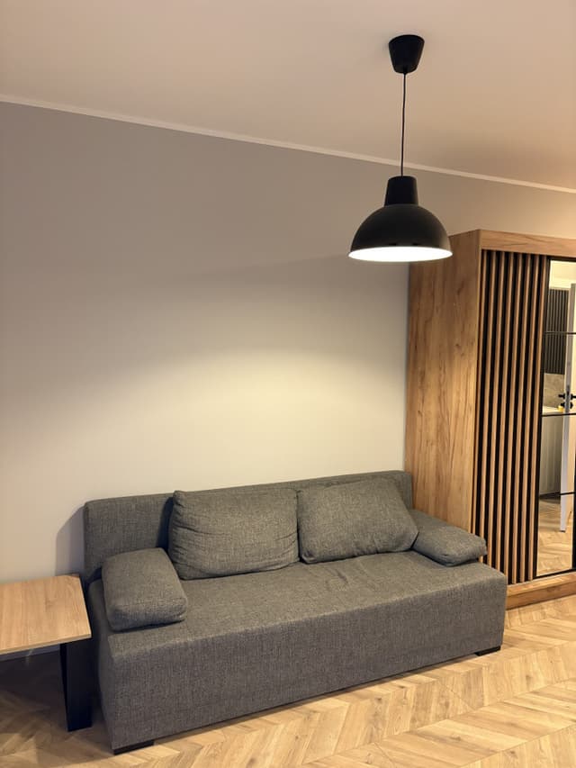 Funkcjonalne mieszkanie dla singla w Poznaniu - Zdjęcie 2/9