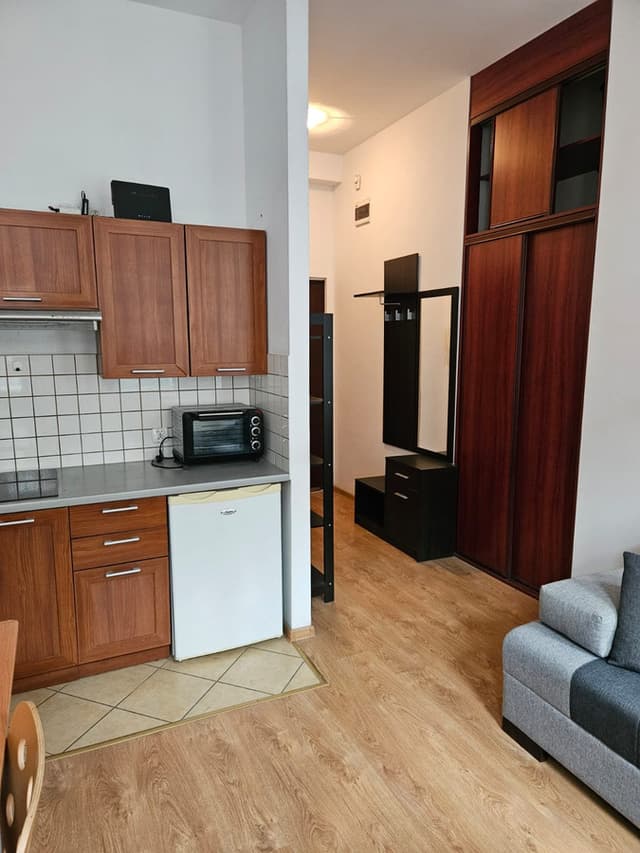 Przytulne studio 19m² w centrum Poznania, ul. Limanowskiego - Zdjęcie 4/11