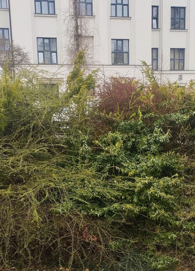 Funkcjonalne mieszkanie 40 m² w Lublinie - Zdjęcie 4/8