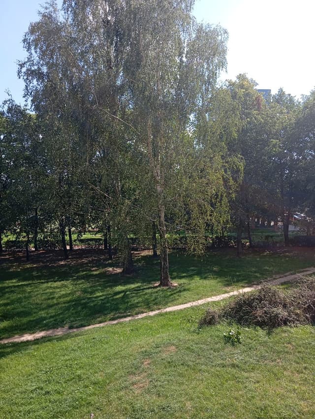 Przestronne mieszkanie w atrakcyjnej części Pragi-Południe - Zdjęcie 2/18