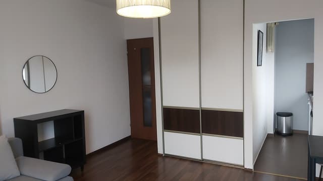 Funkcjonalne mieszkanie w centrum Łodzi - Śródmieście - Zdjęcie 4/8