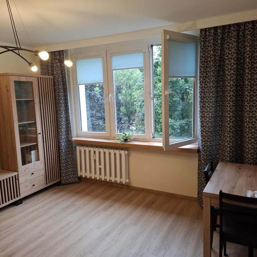 Przytulne mieszkanie w zielonej części Bałut - Zdjęcie 1/8