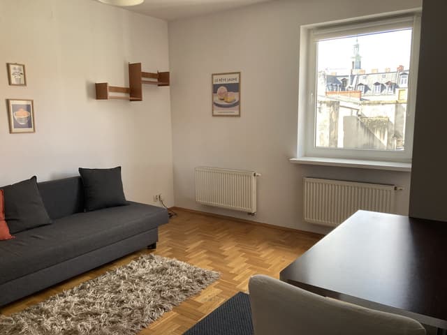 Funkcjonalne mieszkanie w Poznaniu - idealne dla singla - Zdjęcie 4/16