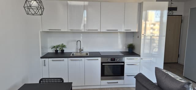 Funkcjonalne 2-pokojowe mieszkanie na Winogradach - Zdjęcie 4/7