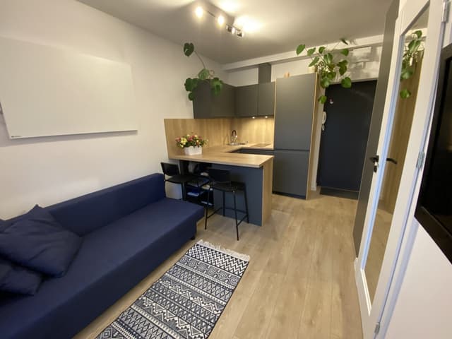 Mieszkanie inwestycyjne w centrum Łodzi - Zdjęcie 2/11