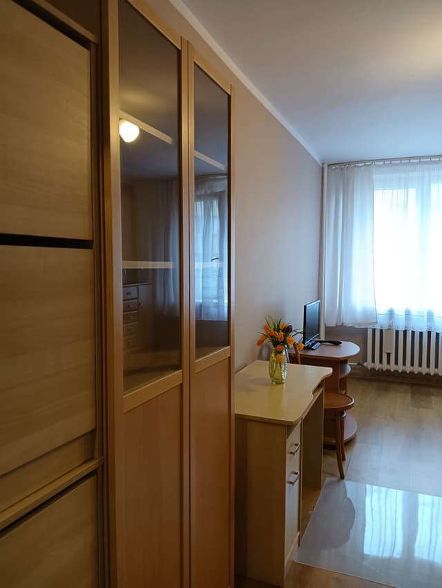 Przytulne mieszkanie jednopokojowe w Grzegórkach - Zdjęcie 3/7