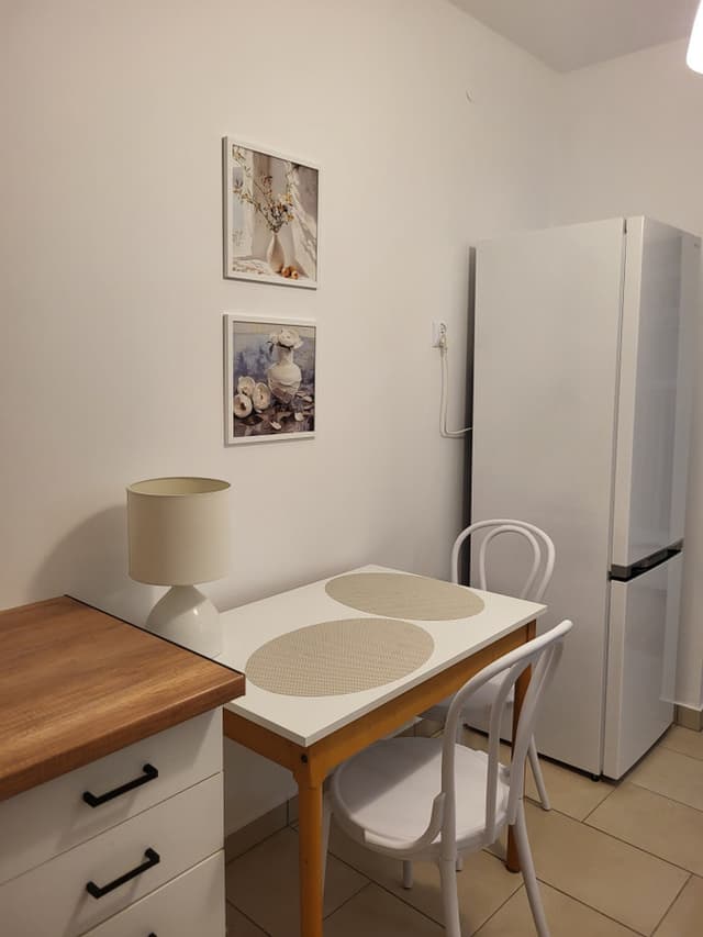 Mieszkanie 2-pokojowe Praga-Północ, Dworzec Wileński - Zdjęcie 4/17