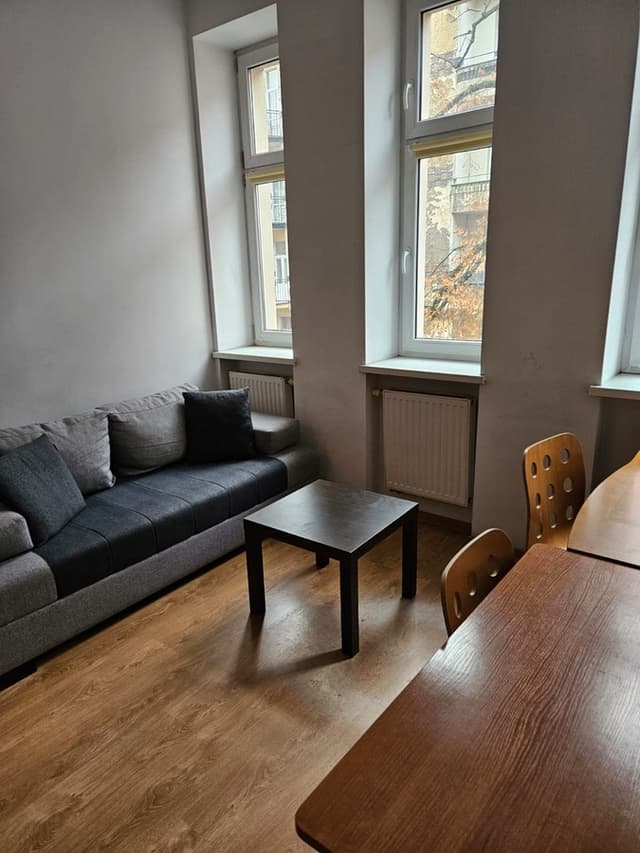 Przytulne studio 19m² w centrum Poznania, ul. Limanowskiego - Zdjęcie 5/11