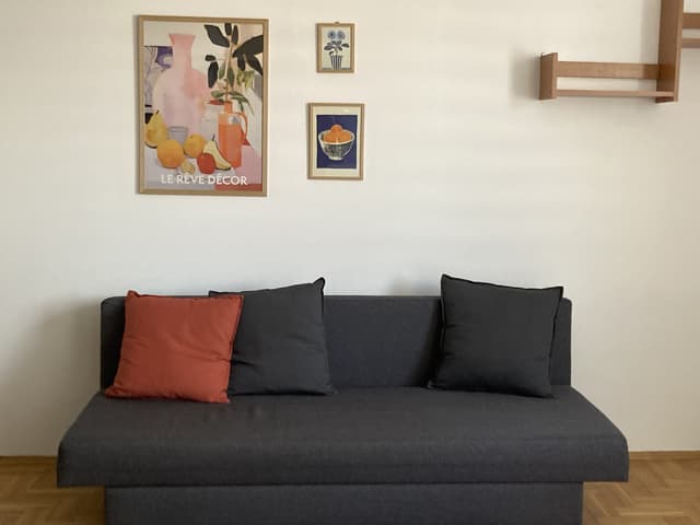 Funkcjonalne mieszkanie w Poznaniu - idealne dla singla - Zdjęcie 2/16