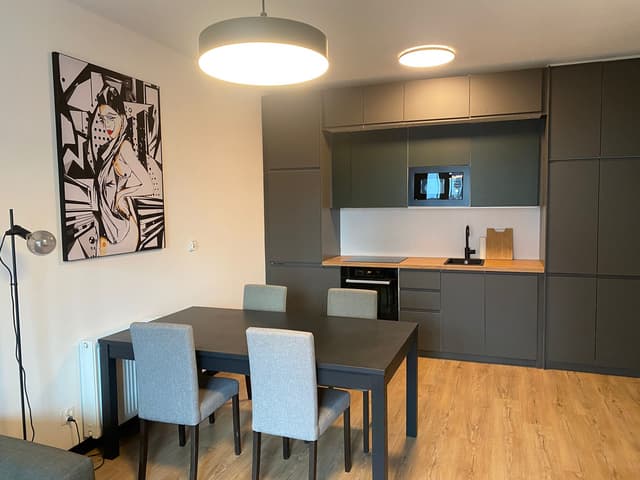 Elegancki apartament 67,5m² z klimatyzacją przy ul. Sienkiewicza - Zdjęcie 2/15