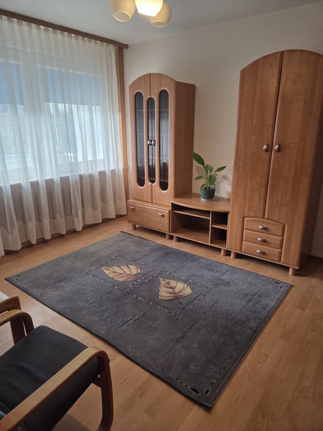 Funkcjonalne mieszkanie w centrum Krakowa - Zdjęcie 2/13