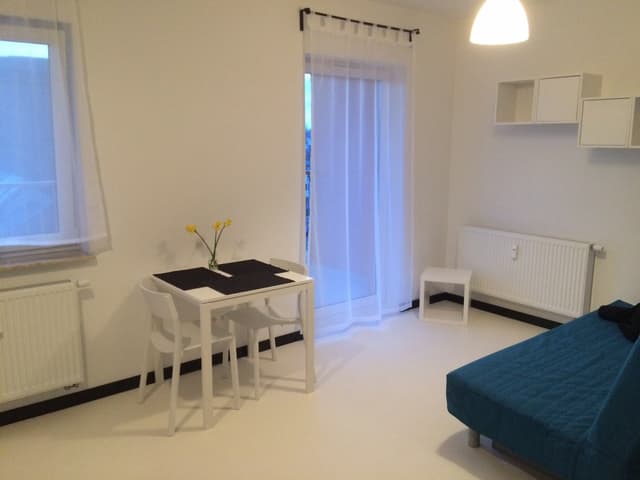 Przytulne mieszkanie jednopokojowe na Winogradach - Zdjęcie 2/11