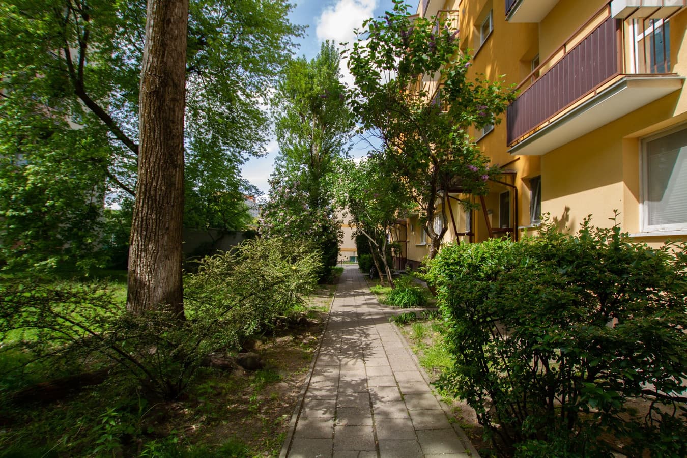 Nowoczesne studio w sercu Woli - idealne dla inwestora - Zdjęcie 1/10