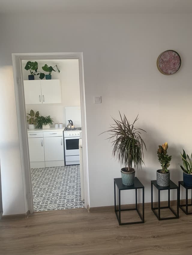 Przytulne 27m² na Teofilowie - Idealne na Start lub Inwestycję - Zdjęcie 3/16