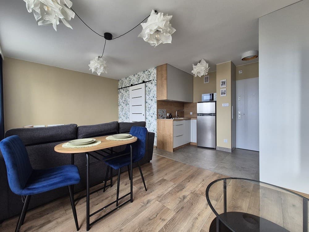 Nowoczesny apartament w prestiżowej dzielnicy Fabryczna - Zdjęcie 1/10