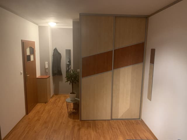 Przytulne studio w spokojnej dzielnicy Winiary w Poznaniu - Zdjęcie 4/8