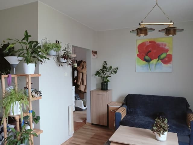 Mieszkanie dla singla lub pary w dzielnicy Polesie - Zdjęcie 2/11