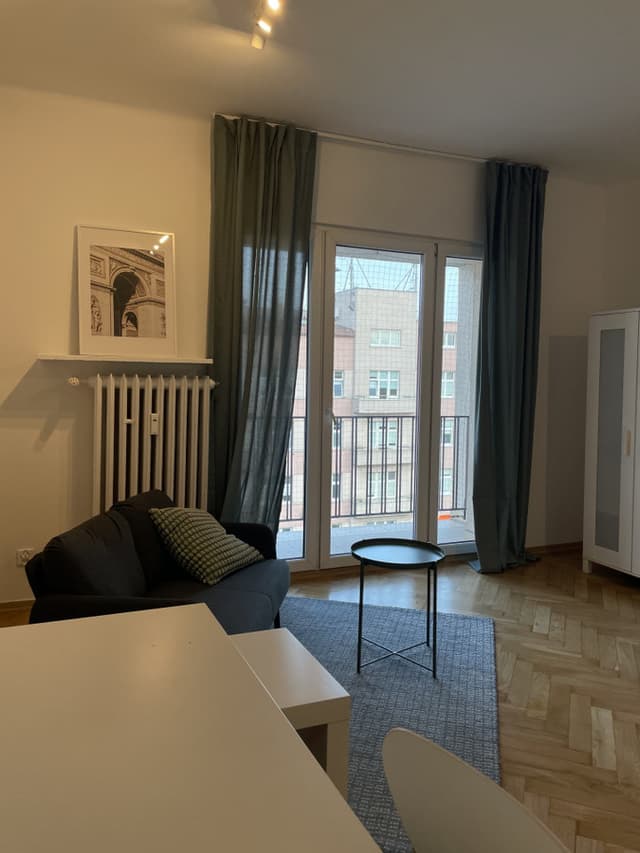 Przestronne 40m² przy Parku Źródliska, centrum Łodzi - Zdjęcie 3/13
