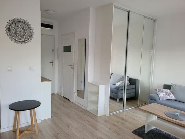 Komfortowe mieszkanie Ostrów Tumski-Śródka - Zdjęcie 5/13