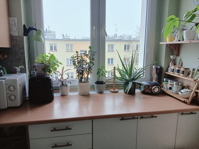 Mieszkanie dla singla lub pary w dzielnicy Polesie - Zdjęcie 5/11