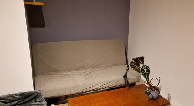 Przytulne 31 m² w spokojnej części Retkini - gotowe do zamieszkania - Zdjęcie 2/10