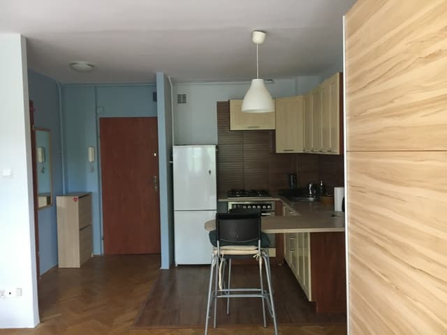 Nowoczesne studio przy al. Kijowskiej, blisko Galerii Krakowskiej - Zdjęcie 4/9