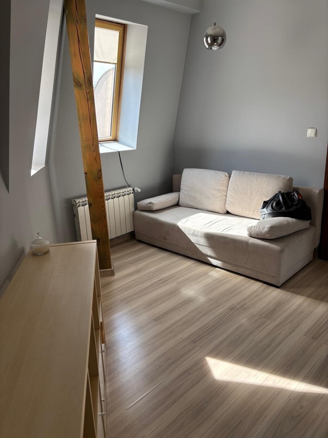 Jasna, nowoczesna kawalerka w centrum Poznania - Zdjęcie 1/10