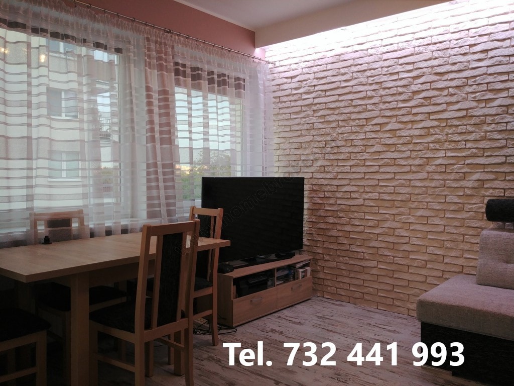 Komfortowy apartament na Wildzie, blisko centrum - Zdjęcie 1/7