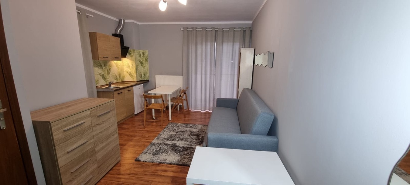 Komfortowe mieszkanie przy Strzeszyńskiej - Poznań - Zdjęcie 1/8