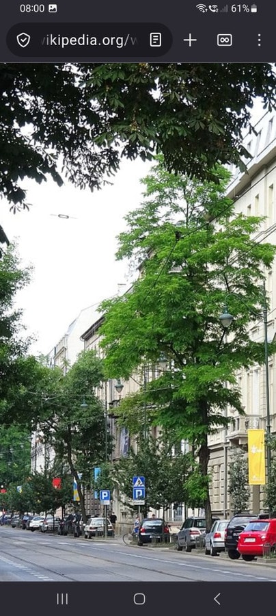 Komfortowe mieszkanie w doskonałej lokalizacji - Zdjęcie 1/11