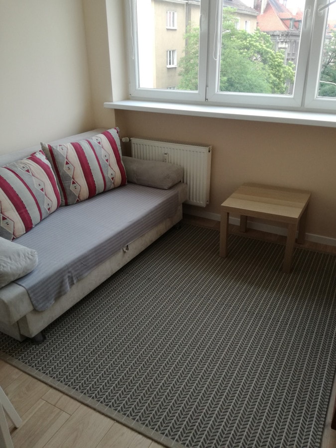 Funkcjonalne mieszkanie dla singla w Poznaniu - Zdjęcie 1/11