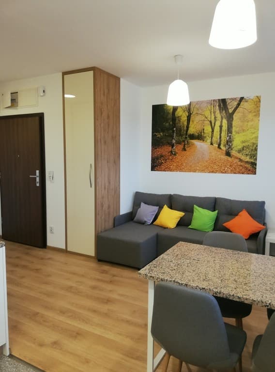 Nowoczesne studio z wielkim tarasem i klimatyzacją, Krzyki - Zdjęcie 3/11